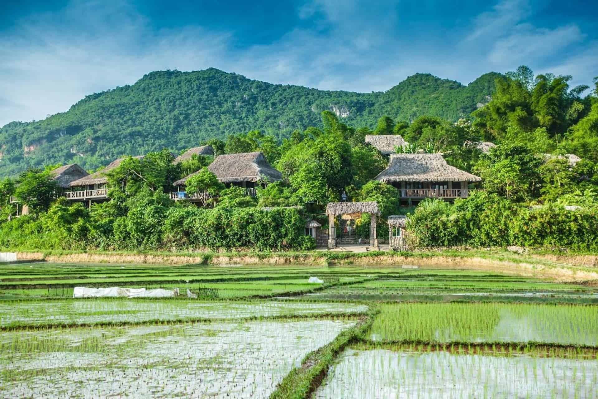 Resort quanh Hà Nội - Mai Chau Ecolodge