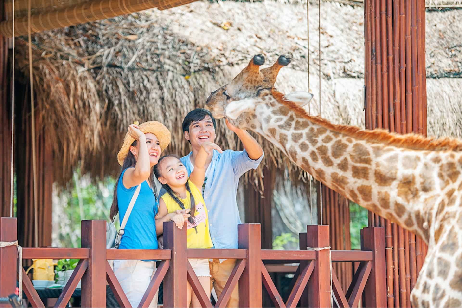 Kinh nghiệm đi du lịch Vinpearl Safari Phú Quốc