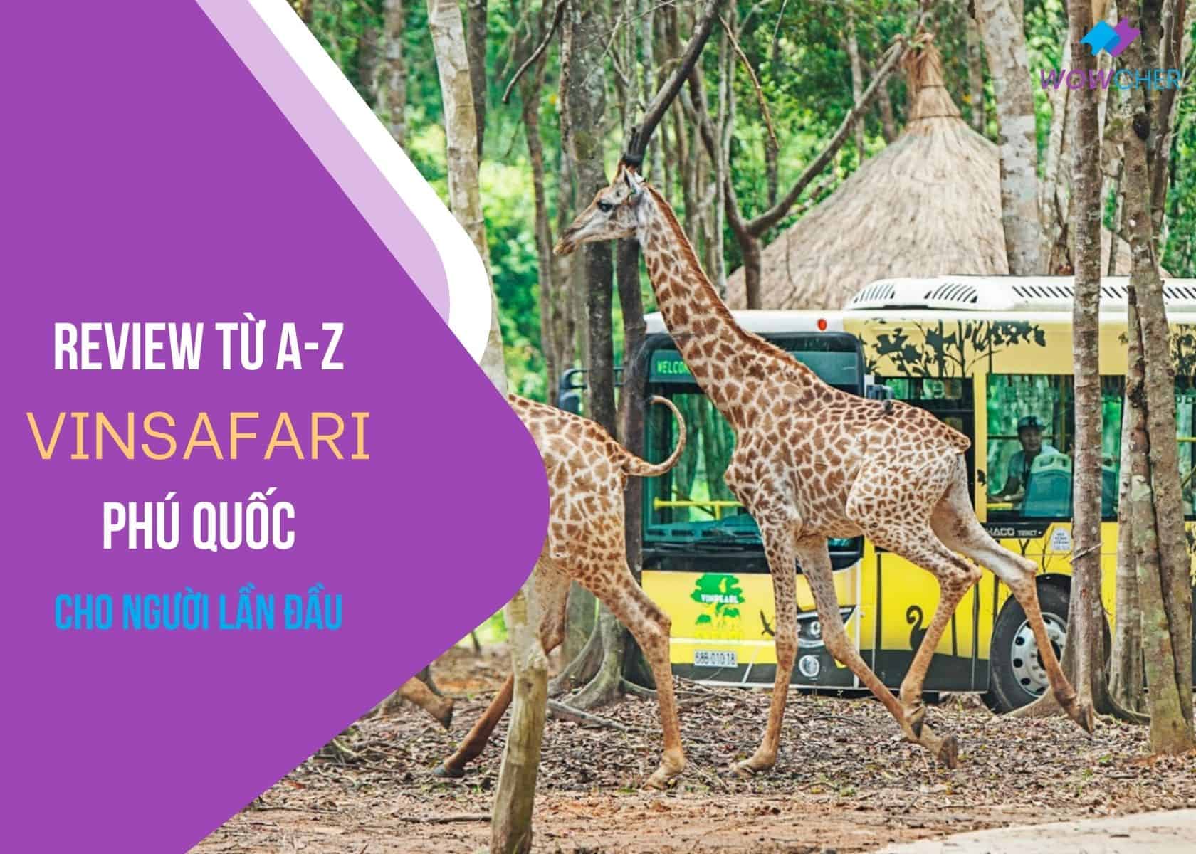phu quoc safari review