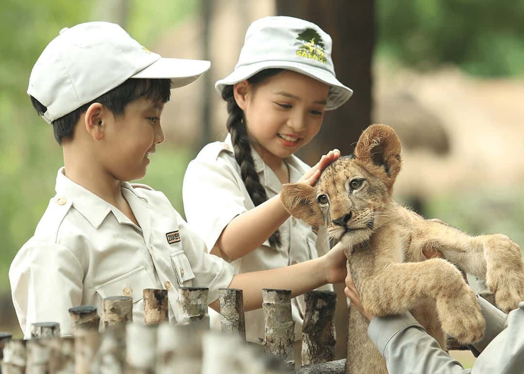 Tham quan vườn thú baby - Chơi gì ở Vinpear Safari